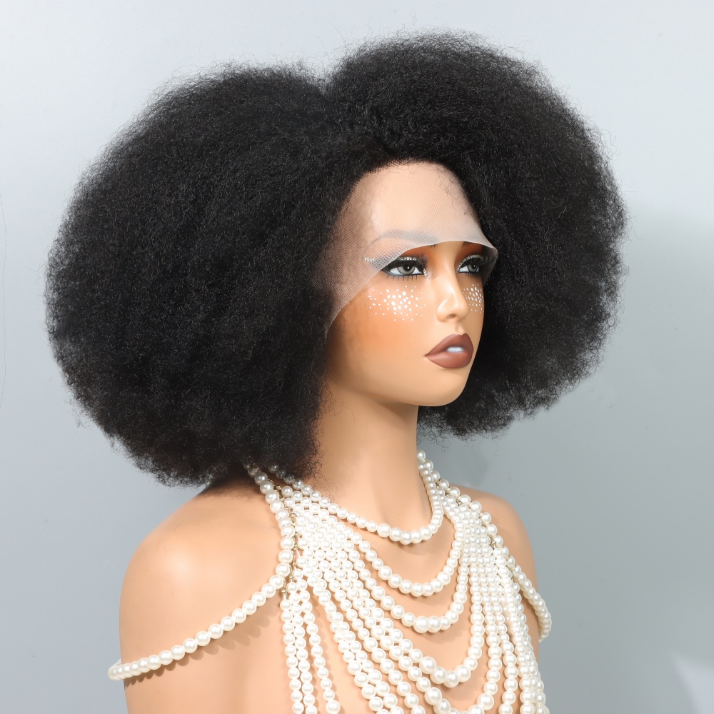 14 Zoll Afro-Perücken für schw – Glueless Wear And Go Human Hair Wig Bewertung und Preis