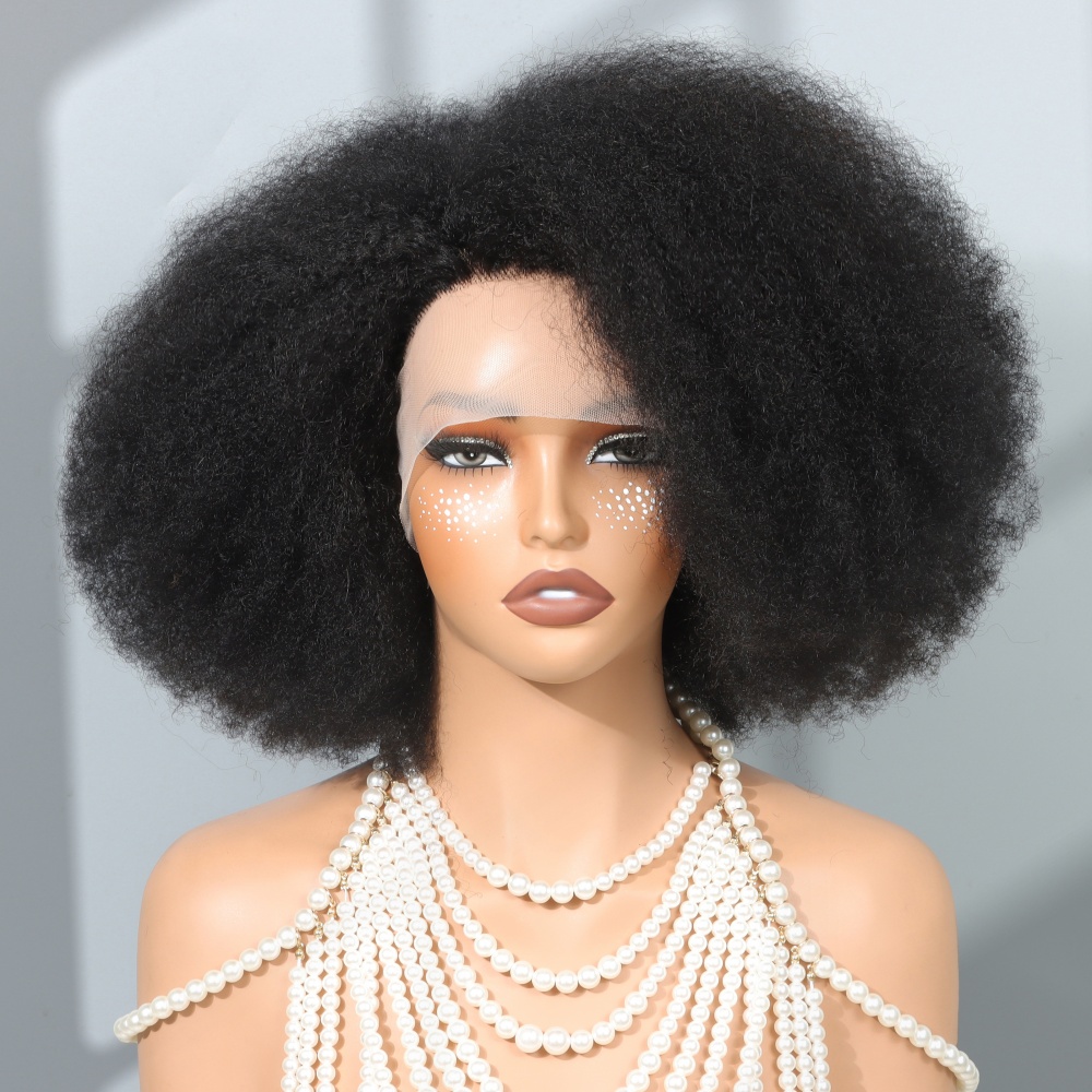 14 Zoll Afro-Perücken für schw – Glueless Wear And Go Human Hair Wig Bewertung und Preis