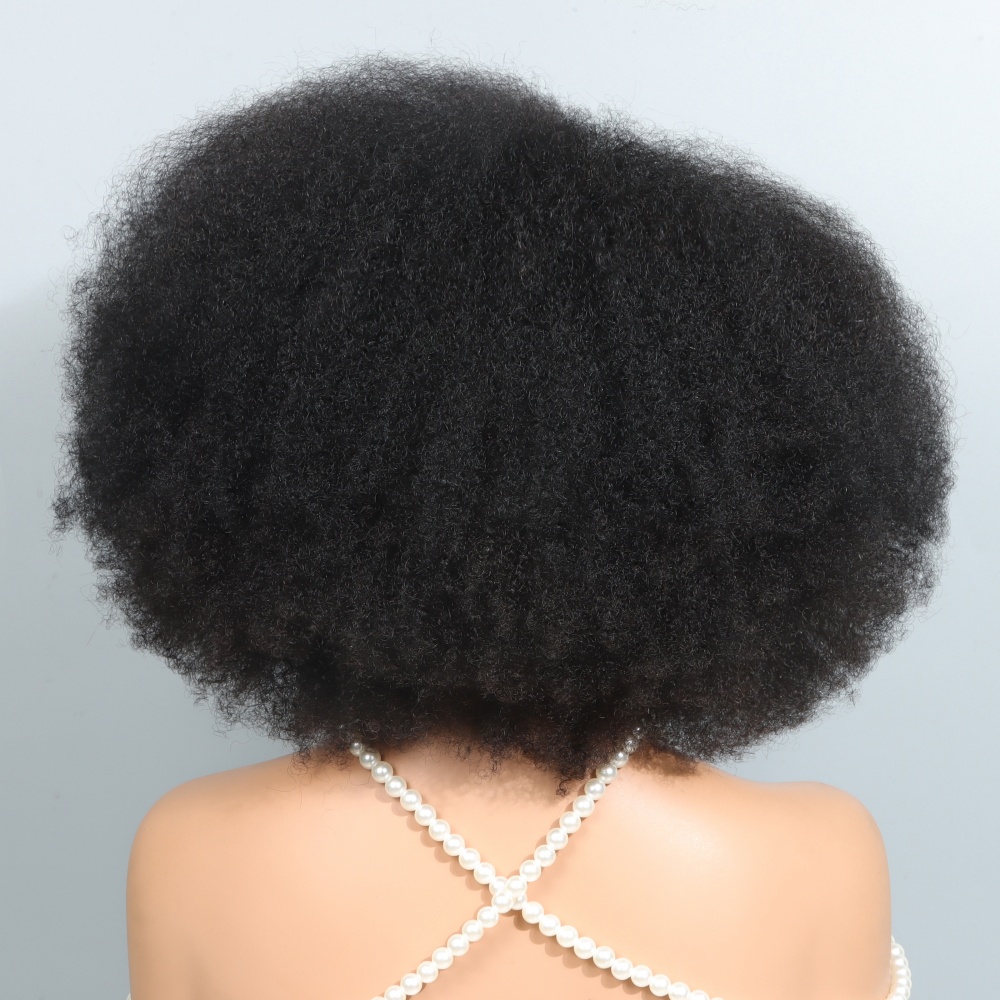 14 Zoll Afro-Perücken für schw – Glueless Wear And Go Human Hair Wig Bewertung und Preis